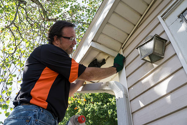 Best Brick Veneer Siding  in Fussels Corner, FL